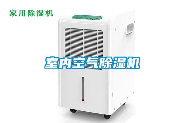 室内空气粉色视频免费在线观看