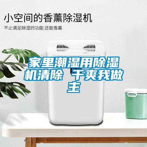 家里潮湿用粉色视频免费在线观看清除 干爽我做主