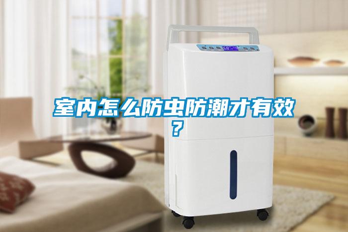 室内怎么防虫防潮才有效？