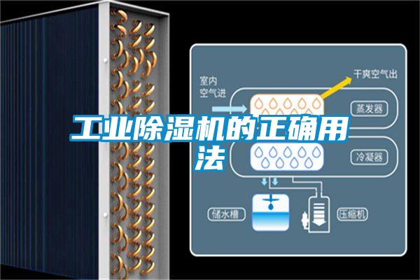 工业粉色视频免费在线观看的正确用法