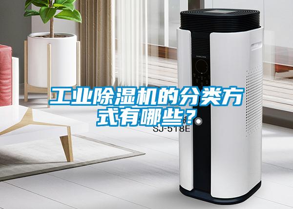 工业粉色视频免费在线观看的分类方式有哪些？