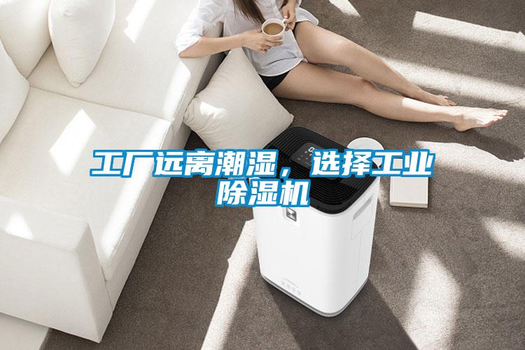 工厂远离潮湿，选择工业粉色视频免费在线观看