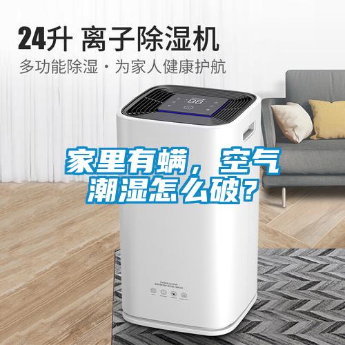 家里有螨，空气潮湿怎么破？
