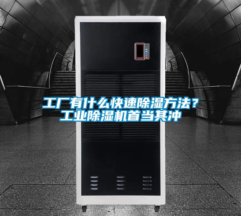工厂有什么快速除湿方法？工业粉色视频免费在线观看首当其冲