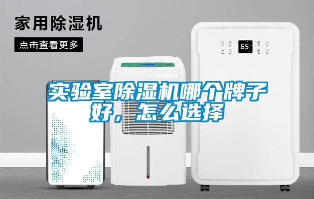 实验室粉色视频免费在线观看哪个牌子好，怎么选择