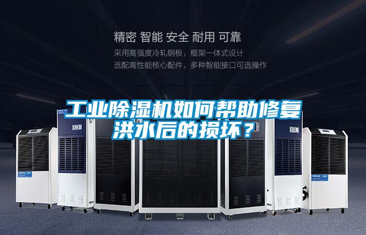 工业粉色视频免费在线观看如何帮助修复洪水后的损坏？