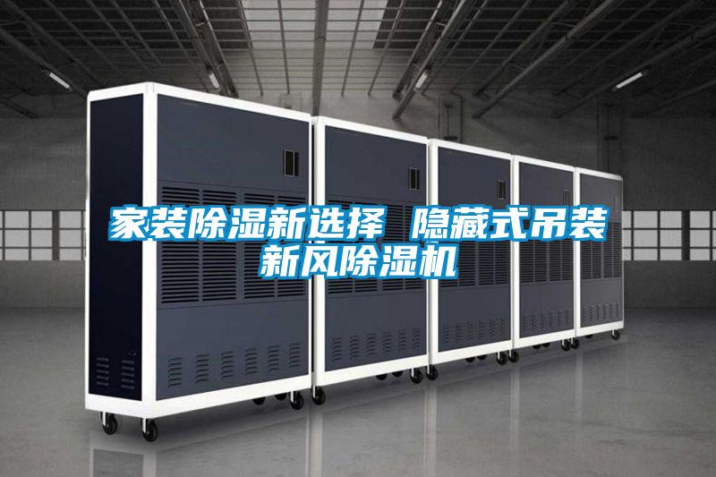 家装除湿新选择 隐藏式吊装新风粉色视频免费在线观看