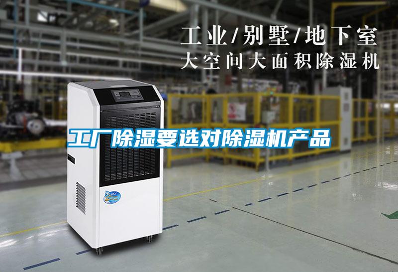 工厂除湿要选对粉色视频免费在线观看产品