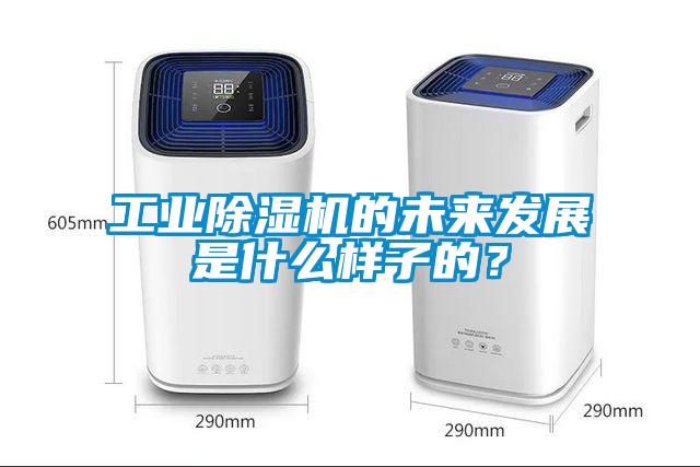 工业粉色视频免费在线观看的未来发展是什么样子的？