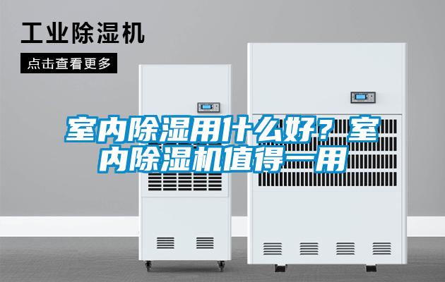 室内除湿用什么好？室内粉色视频免费在线观看值得一用