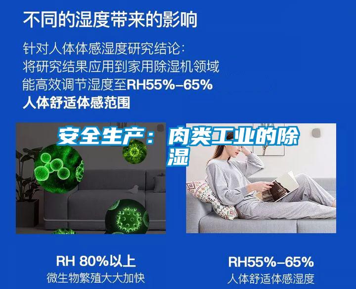 安全生产：肉类工业的除湿