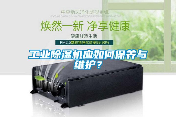 工业粉色视频免费在线观看应如何保养与维护？