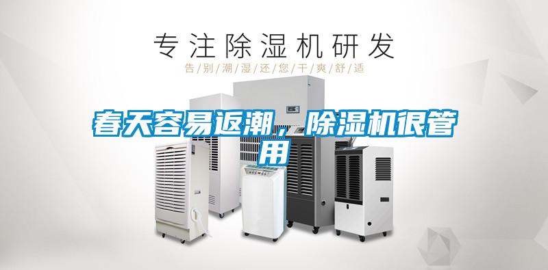 春天容易返潮，粉色视频免费在线观看很管用