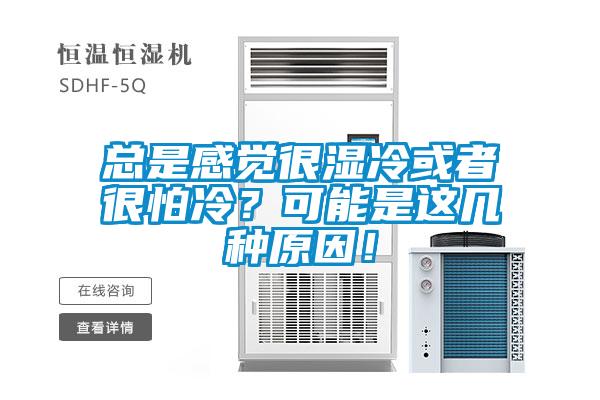 总是感觉很湿冷或者很怕冷？可能是这几种原因！