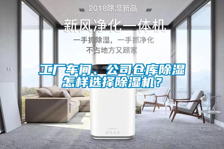 工厂车间、公司仓库除湿怎样选择粉色视频免费在线观看？