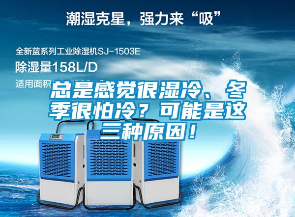 总是感觉很湿冷、冬季很怕冷？可能是这三种原因！