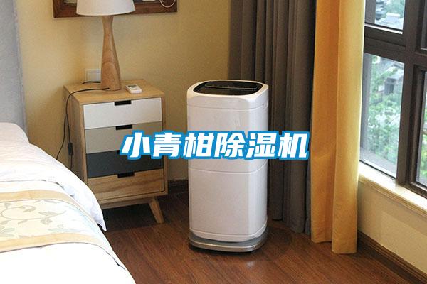 小青柑粉色视频免费在线观看