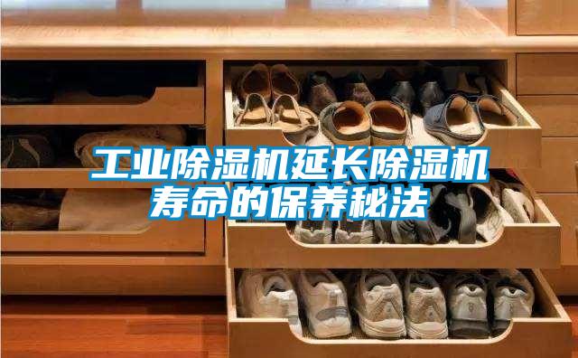 工业粉色视频免费在线观看延长粉色视频免费在线观看寿命的保养秘法