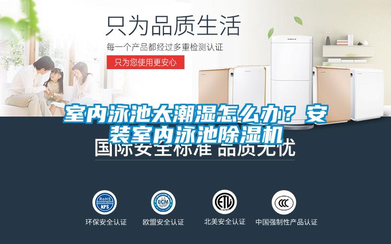 室内泳池太潮湿怎么办？安装室内泳池粉色视频免费在线观看