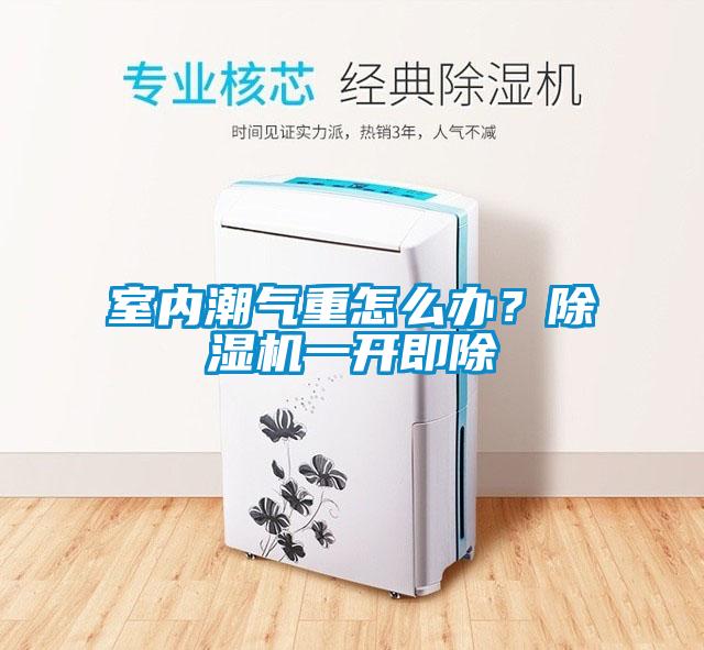 室内潮气重怎么办？粉色视频免费在线观看一开即除