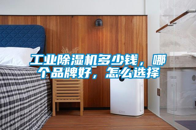 工业粉色视频免费在线观看多少钱，哪个品牌好，怎么选择