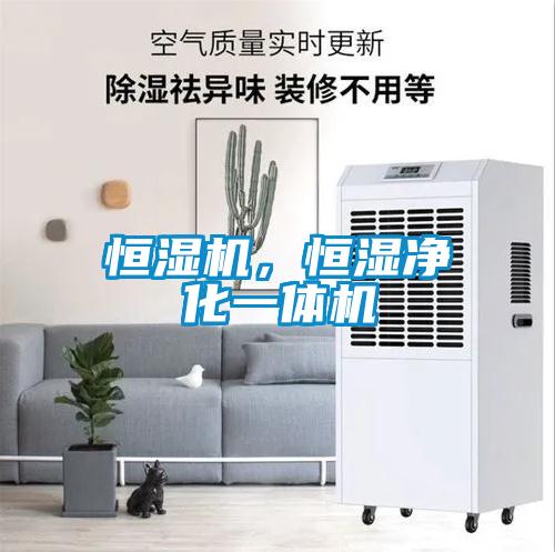 恒湿机，恒湿净化一体机