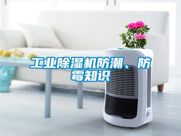 工业粉色视频免费在线观看防潮、防霉知识