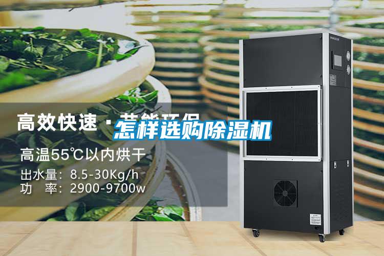 怎样选购粉色视频免费在线观看