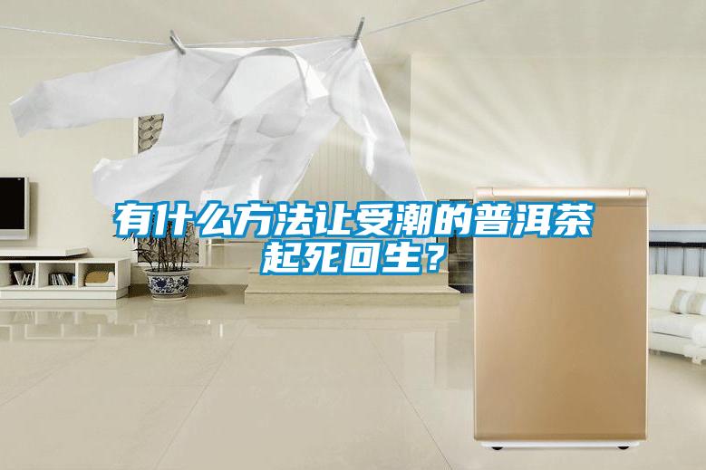 有什么方法让受潮的普洱茶起死回生？