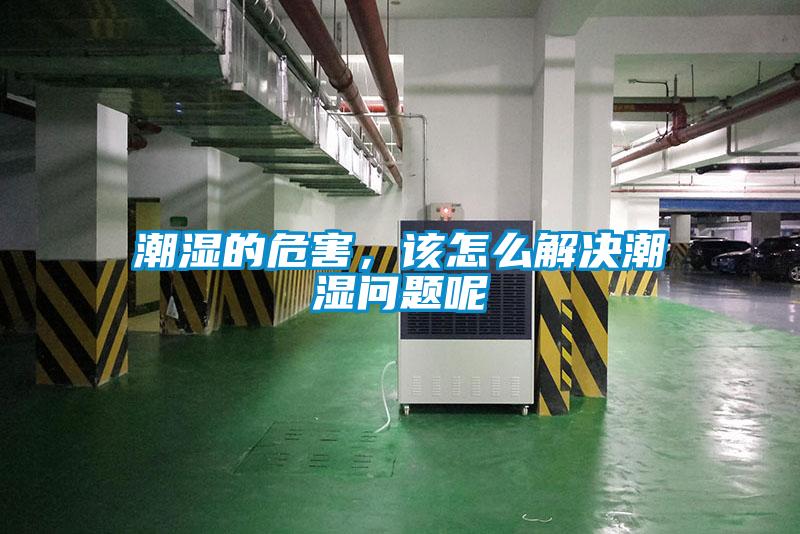 潮湿的危害，该怎么解决潮湿问题呢