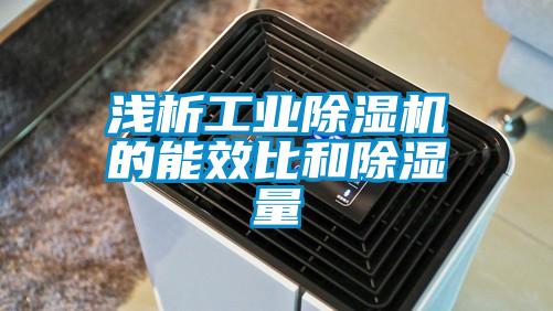 浅析工业粉色视频免费在线观看的能效比和除湿量