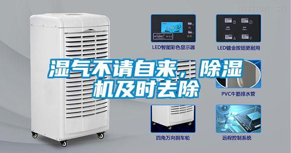 湿气不请自来，粉色视频免费在线观看及时去除