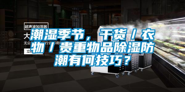 潮湿季节，干货／衣物／贵重物品除湿防潮有何技巧？