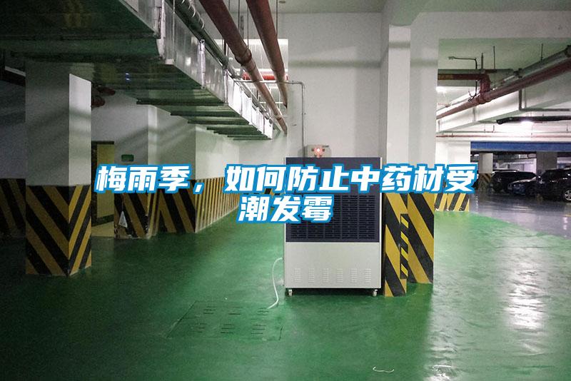 梅雨季，如何防止中药材受潮发霉