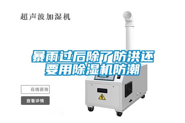 暴雨过后除了防洪还要用粉色视频免费在线观看防潮