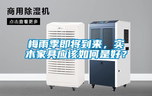 梅雨季即将到来，实木家具应该如何是好？