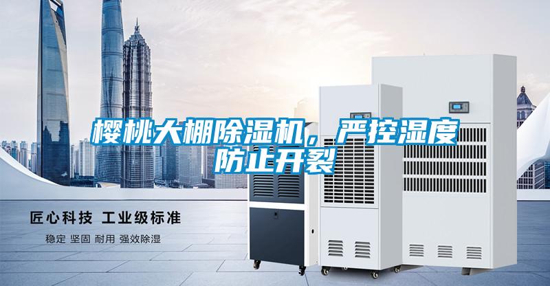 樱桃大棚粉色视频免费在线观看，严控湿度防止开裂