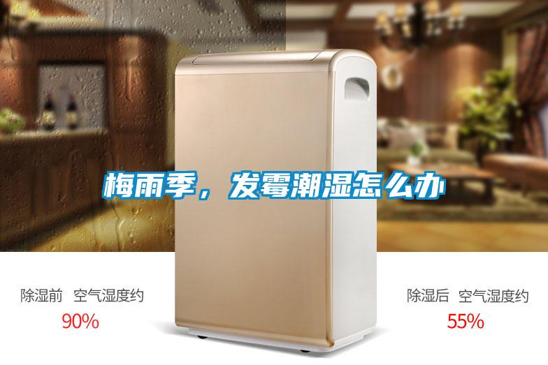 梅雨季，发霉潮湿怎么办