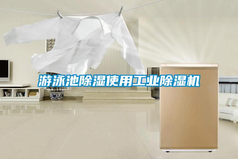 游泳池除湿使用工业粉色视频免费在线观看