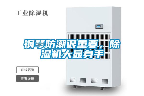 钢琴防潮很重要，粉色视频免费在线观看大显身手