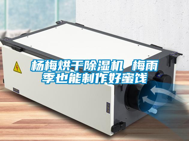 杨梅烘干粉色视频免费在线观看 梅雨季也能制作好蜜饯