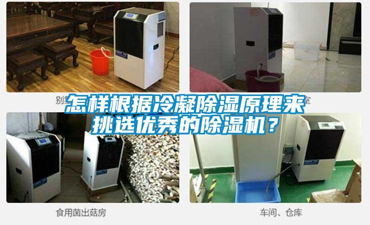 怎样根据冷凝除湿原理来挑选优秀的粉色视频免费在线观看？