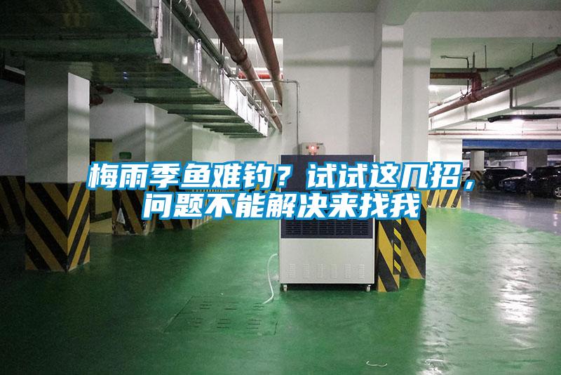 梅雨季鱼难钓？试试这几招，问题不能解决来找我