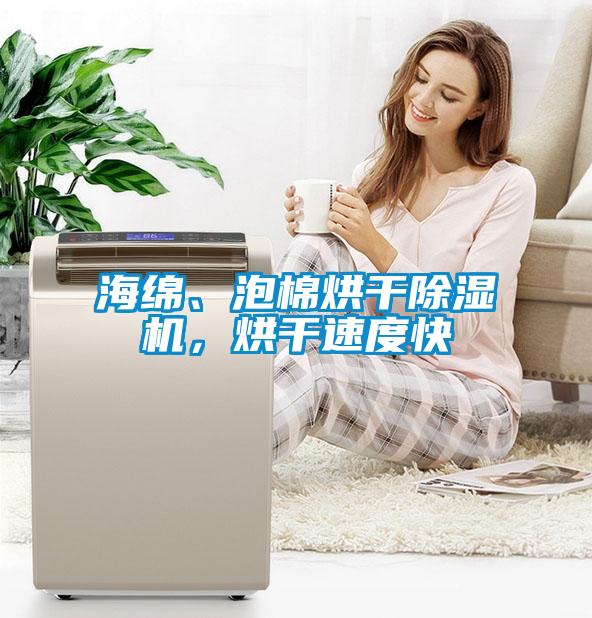 海绵、泡棉烘干粉色视频免费在线观看，烘干速度快