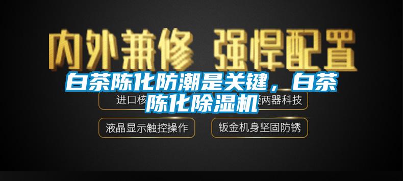 白茶陈化防潮是关键，白茶陈化粉色视频免费在线观看