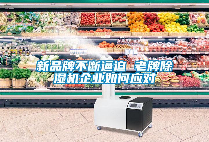 新品牌不断逼迫 老牌粉色视频免费在线观看企业如何应对