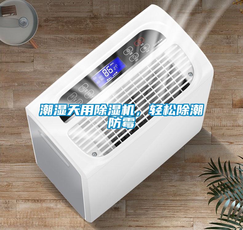 潮湿天用粉色视频免费在线观看，轻松除潮防霉
