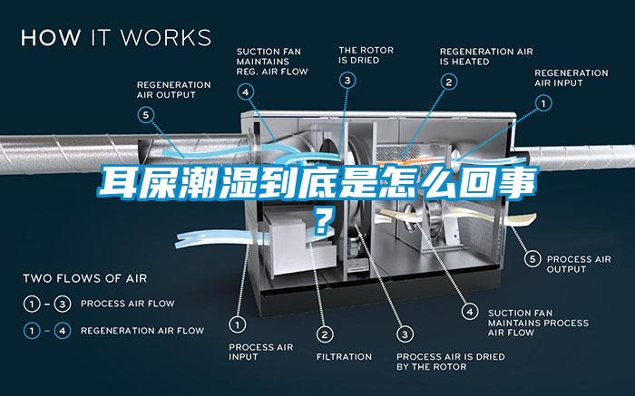 耳屎潮湿到底是怎么回事？