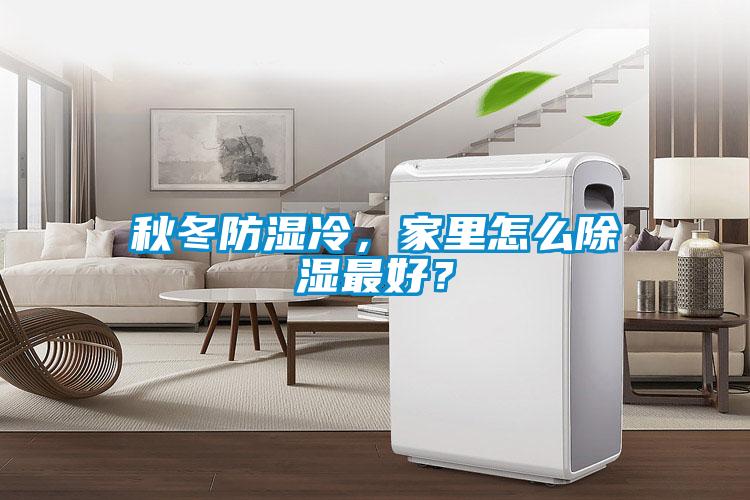 秋冬防湿冷，家里怎么除湿最好？