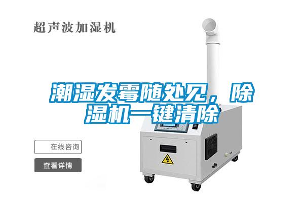 潮湿发霉随处见，粉色视频免费在线观看一键清除
